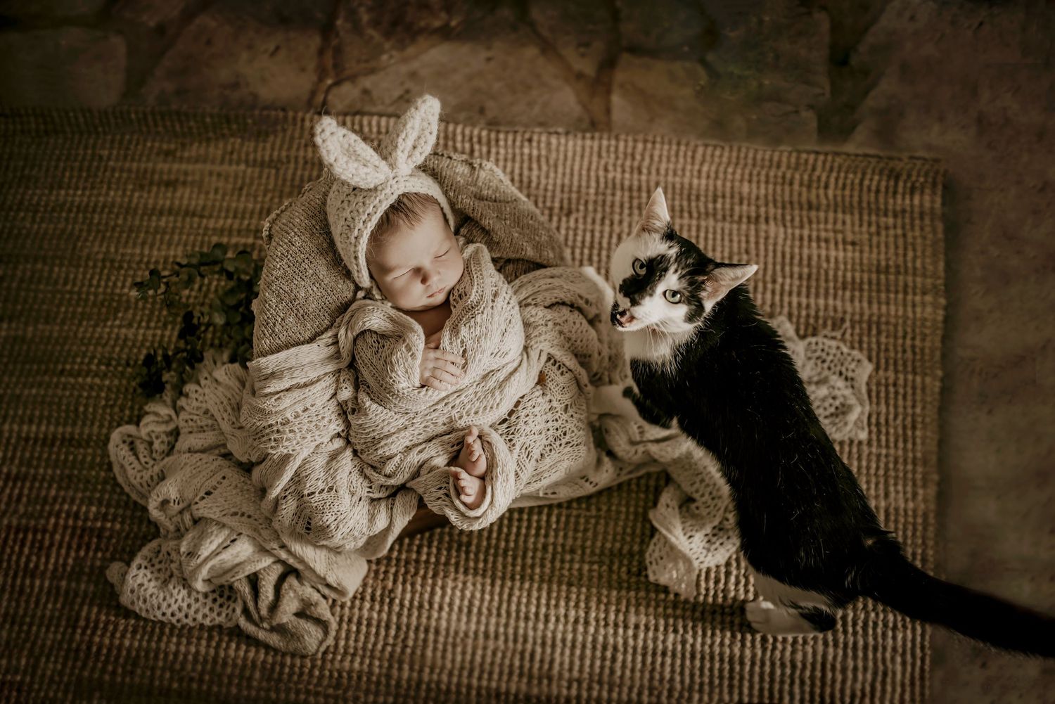 Affordable newborn session Stamford