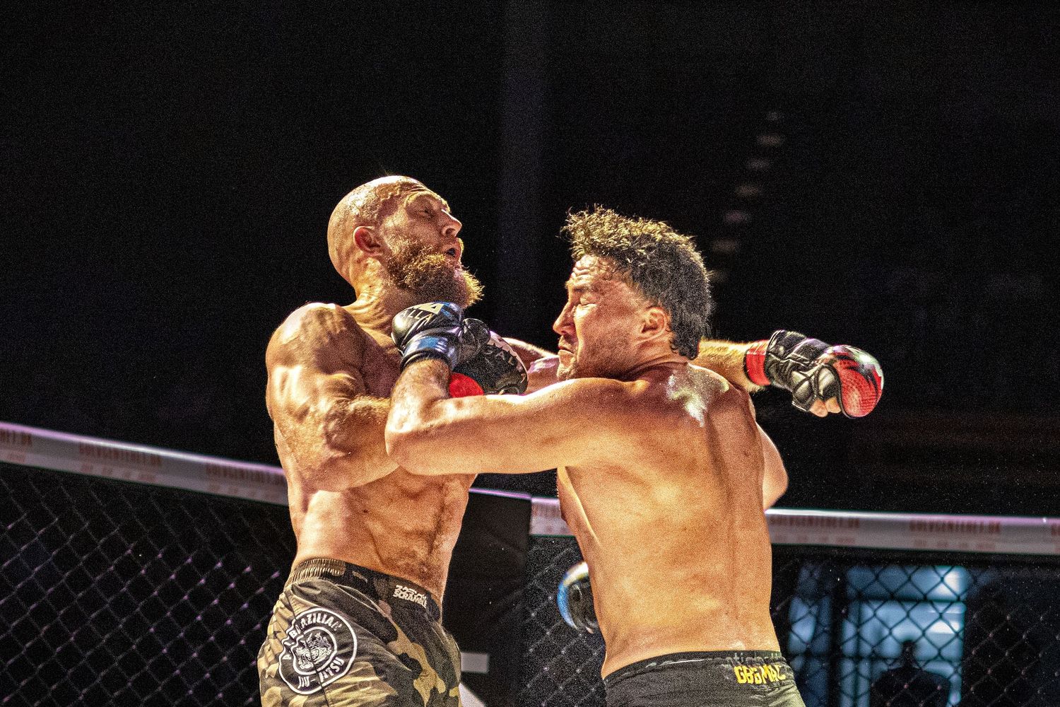 MMA galla, gylden kriger