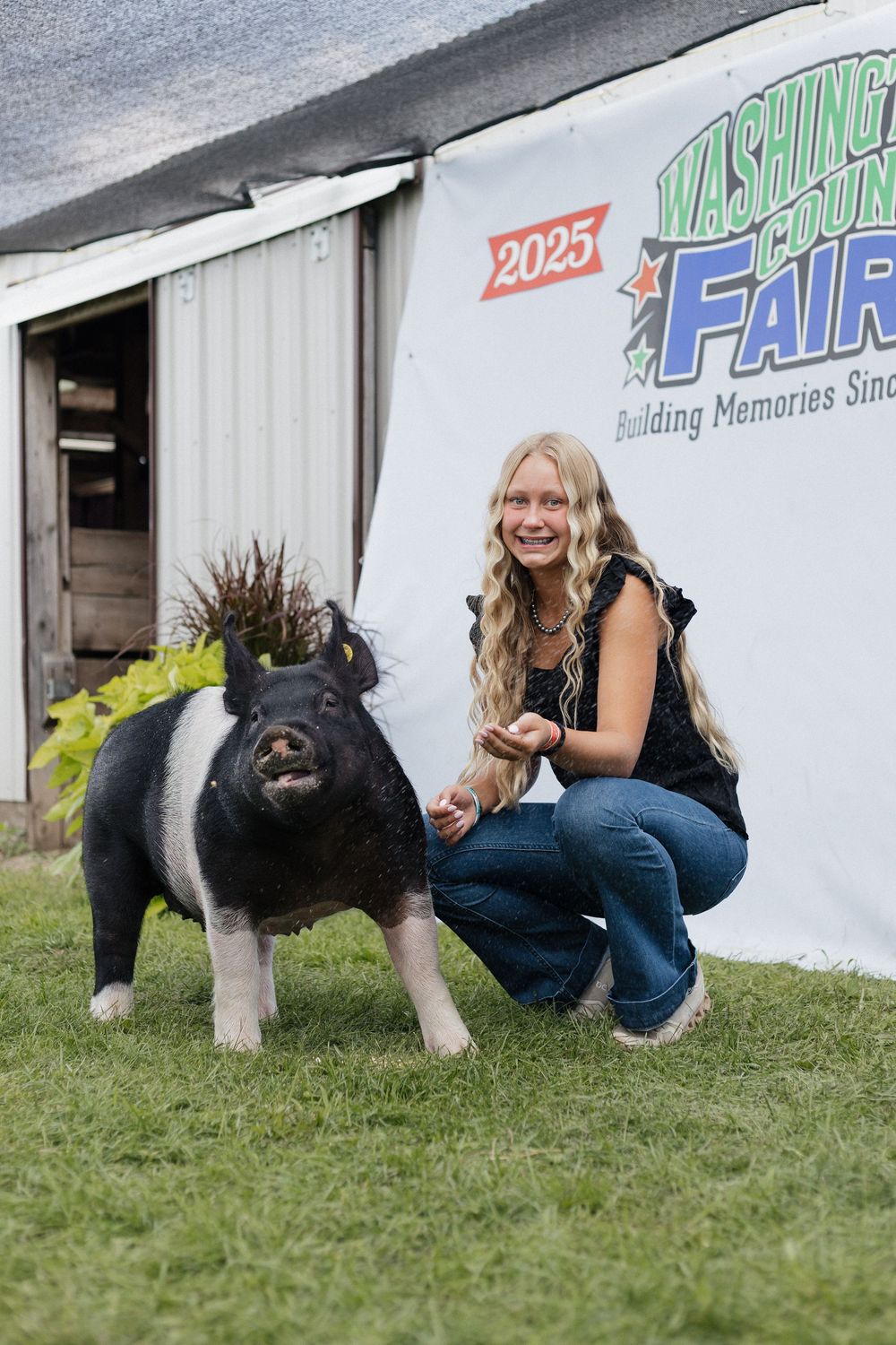 4-H Market Livestock Auction at Washington County Fair, Lake Elmo, MN