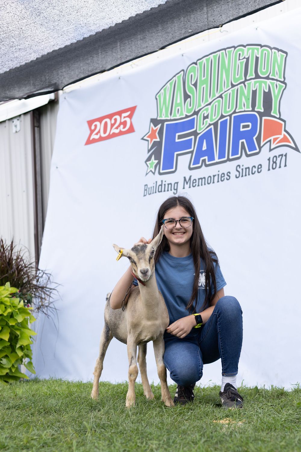 4-H Market Livestock Auction at Washington County Fair, Lake Elmo, MN