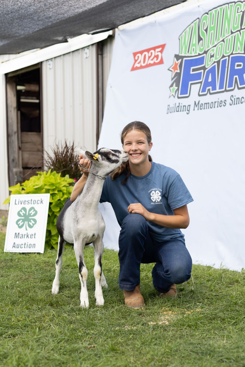 4-H Market Livestock Auction at Washington County Fair, Lake Elmo, MN