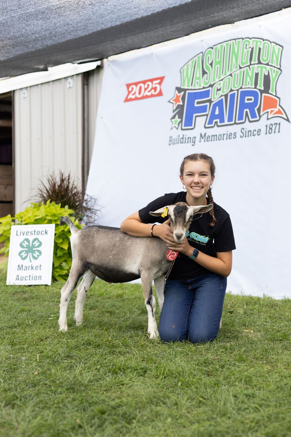 4-H Market Livestock Auction at Washington County Fair, Lake Elmo, MN