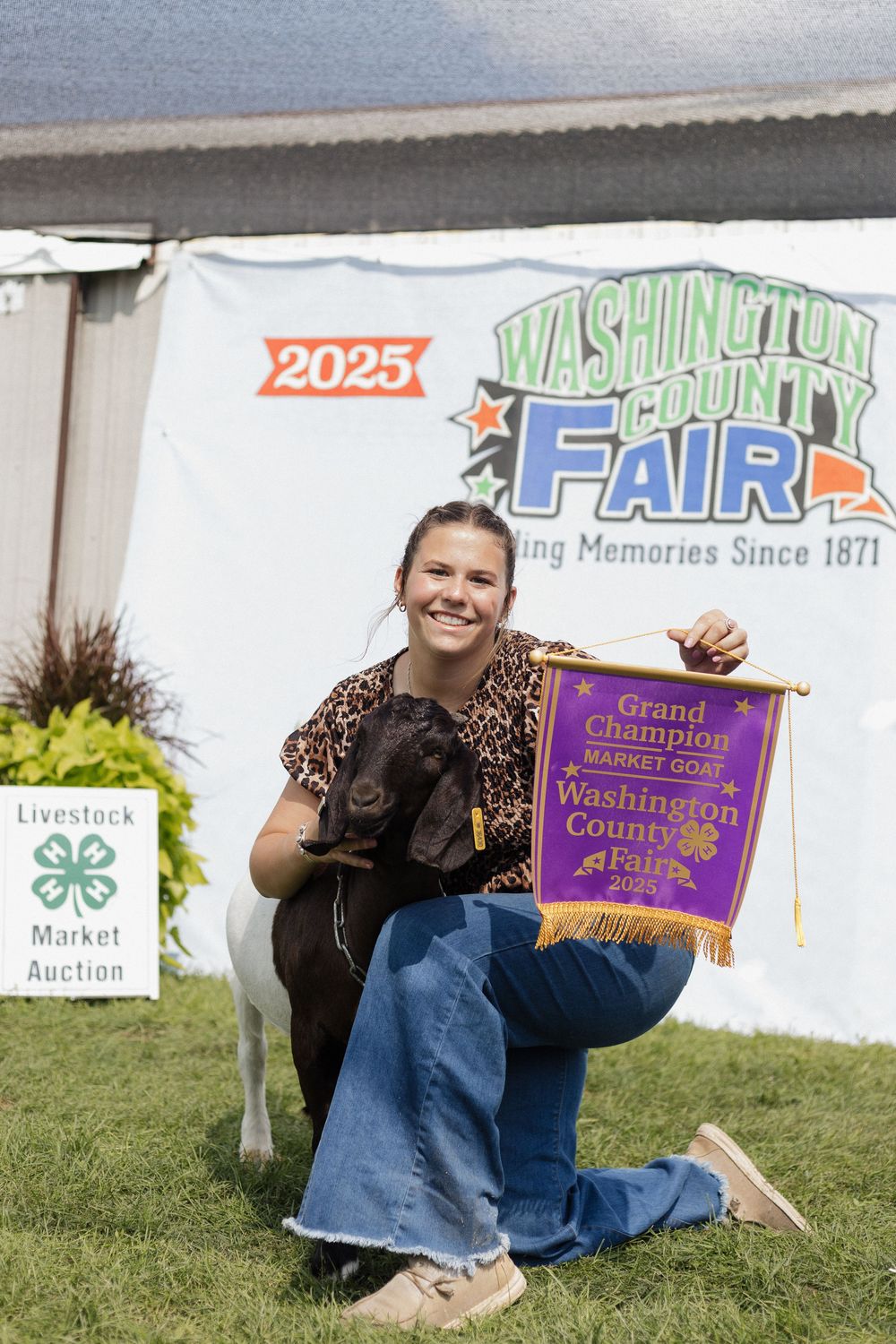 4-H Market Livestock Auction at Washington County Fair, Lake Elmo, MN