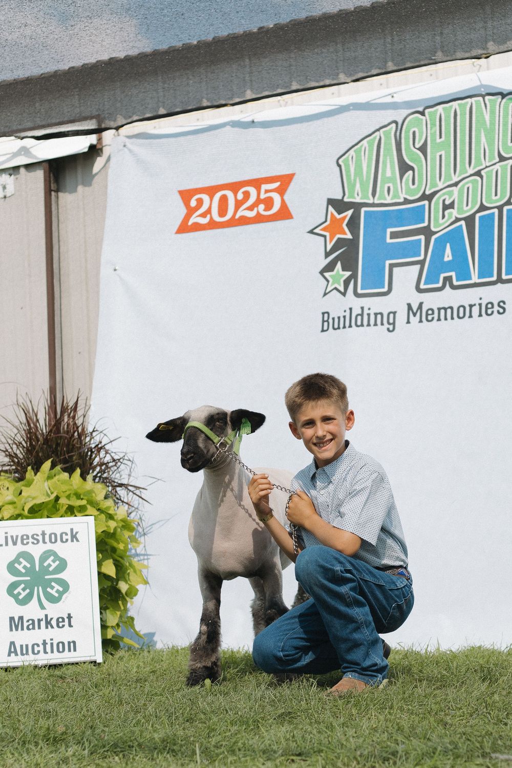 4-H Market Livestock Auction at Washington County Fair, Lake Elmo, MN