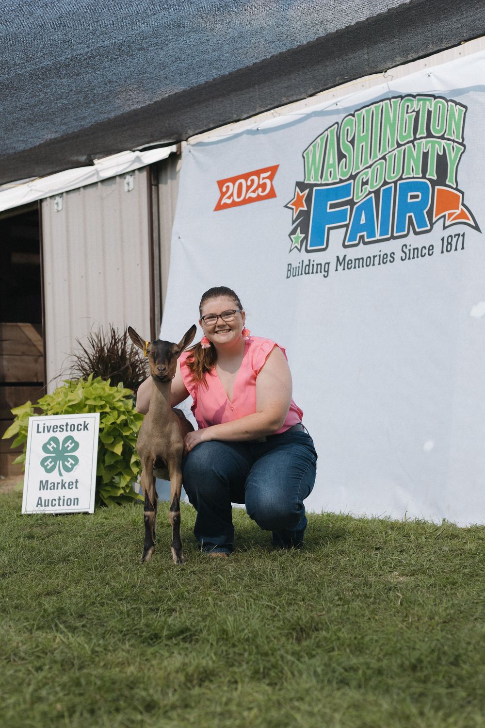 4-H Market Livestock Auction at Washington County Fair, Lake Elmo, MN