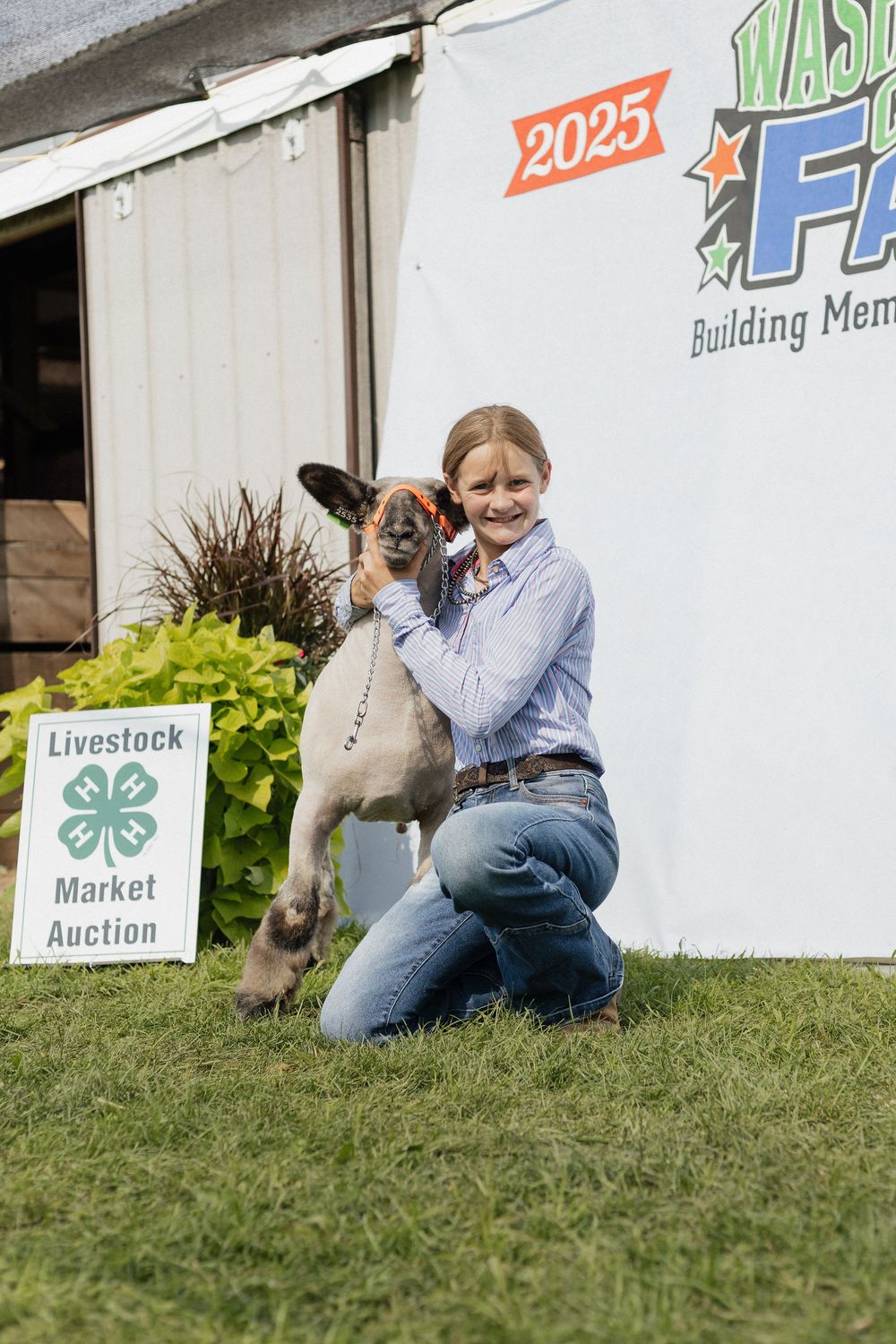 4-H Market Livestock Auction at Washington County Fair, Lake Elmo, MN