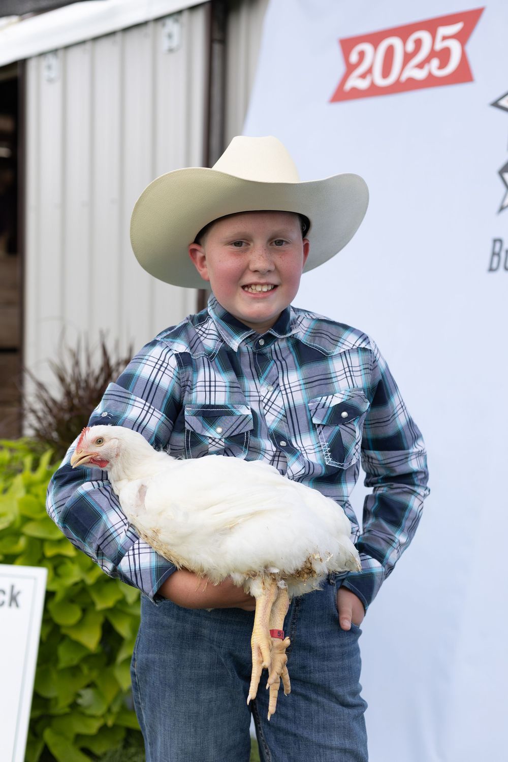 4-H Market Livestock Auction at Washington County Fair, Lake Elmo, MN