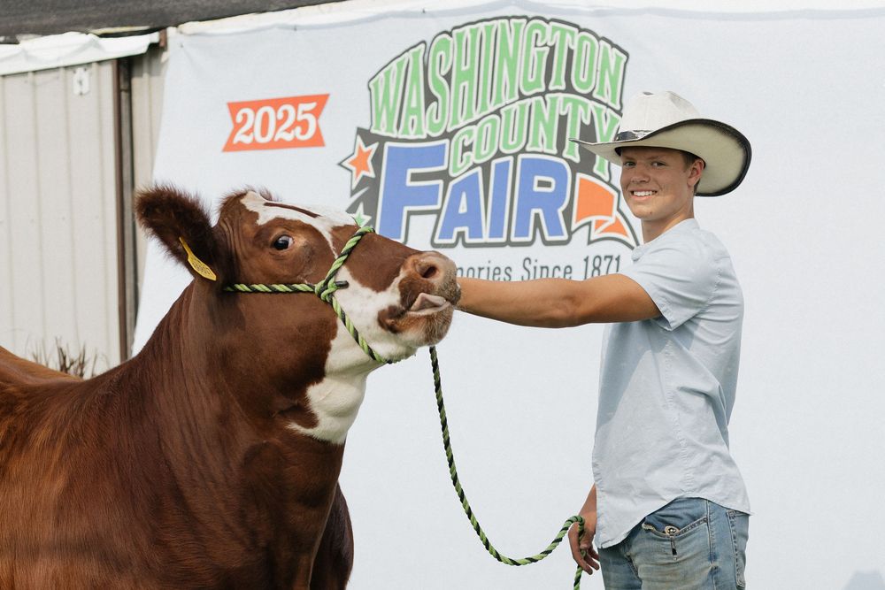 4-H Market Livestock Auction at Washington County Fair, Lake Elmo, MN
