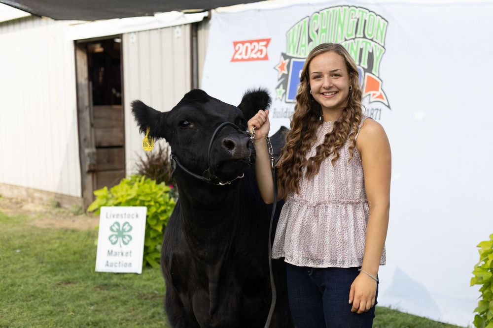 4-H Market Livestock Auction at Washington County Fair, Lake Elmo, MN