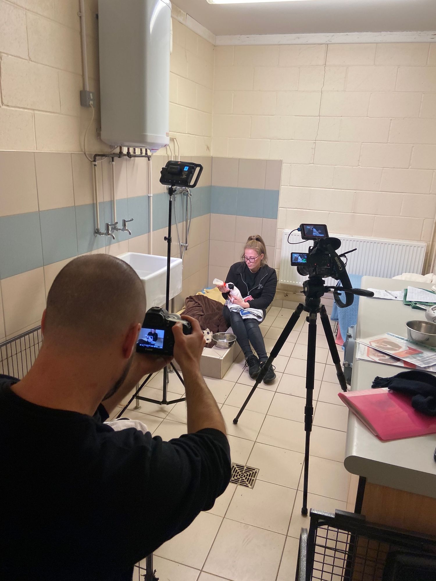 Russ Stedman pet photographer standing in Raystede Centre for Animal Welfare photographing worker hand feeding puppy
