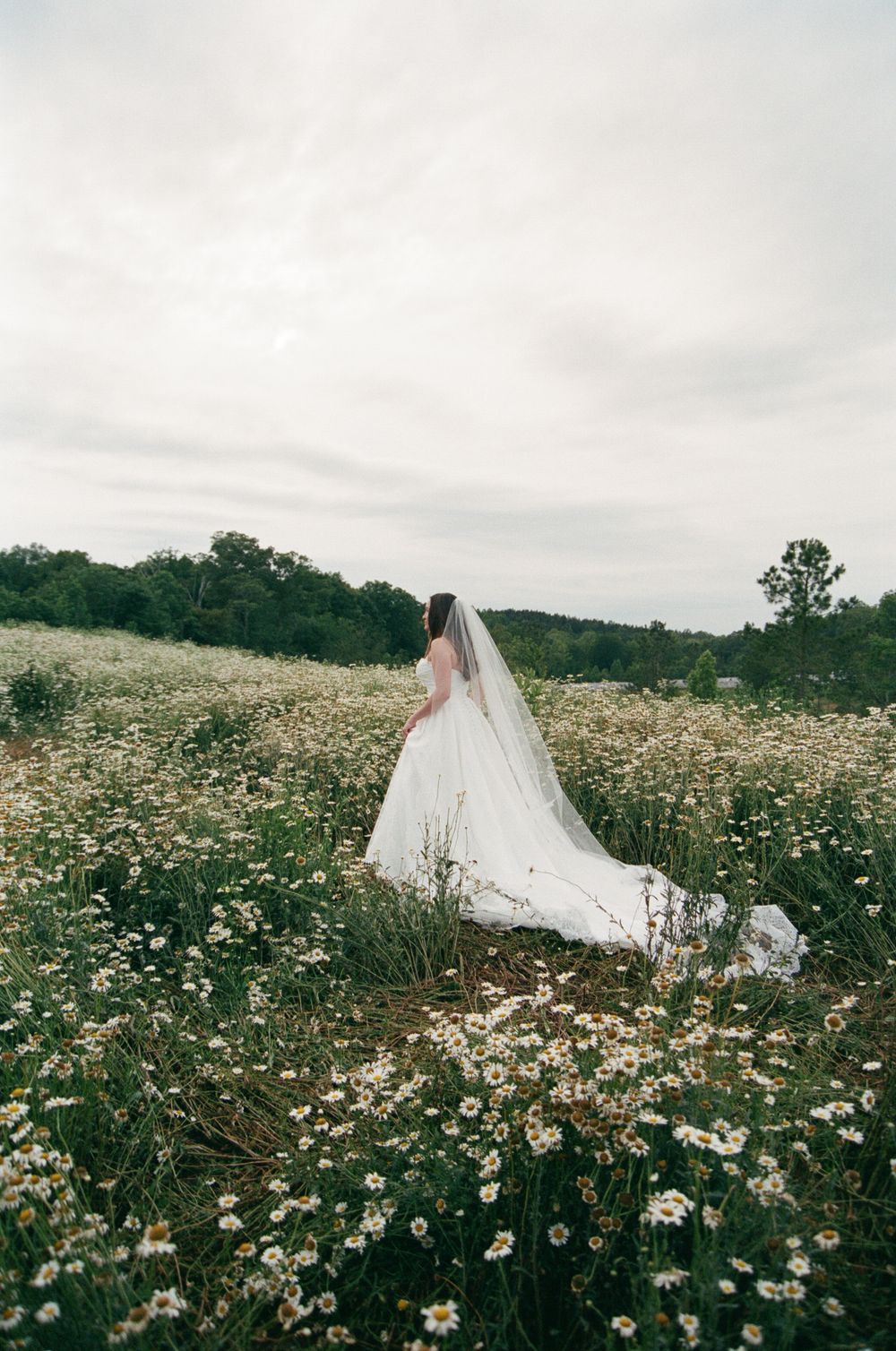A bride in a flowing white wedding dress walks through a dreamy field of wild daisies on an overcast day.