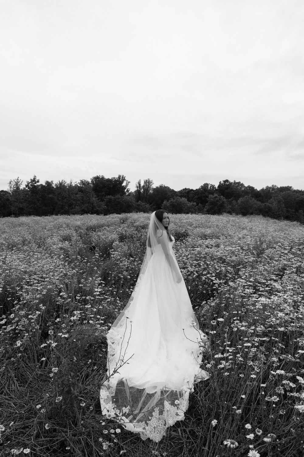 A flowing white wedding veil trails behind in a dreamy black and white wildflower field.