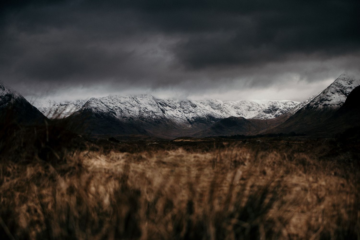 Snow-capped mountains loom over golden grasslands beneath dark stormy skies.