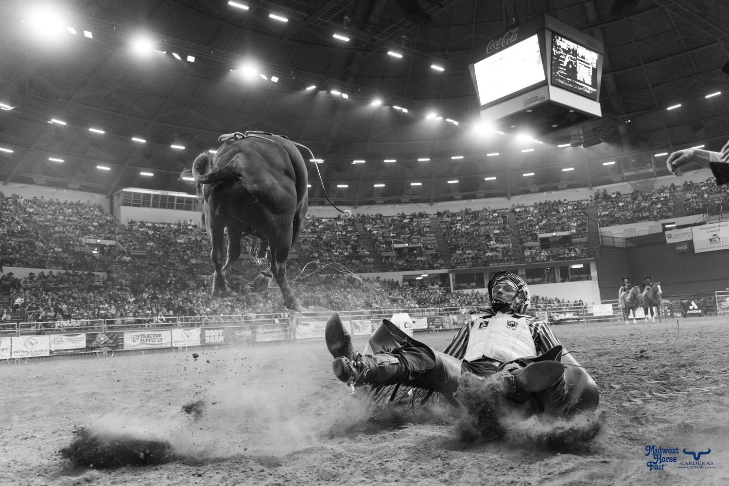 Black and white photo of dramatic rodeo accident with bull in indoor arena. Wisconsin Pro Rodeo PRCA Rodeo Photographer Dakota Cardenas