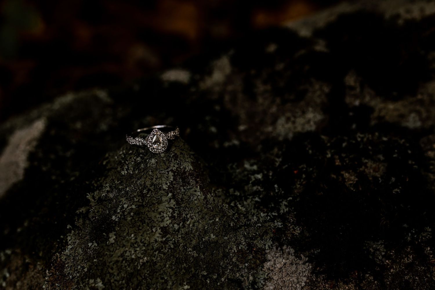 moody wedding photographer