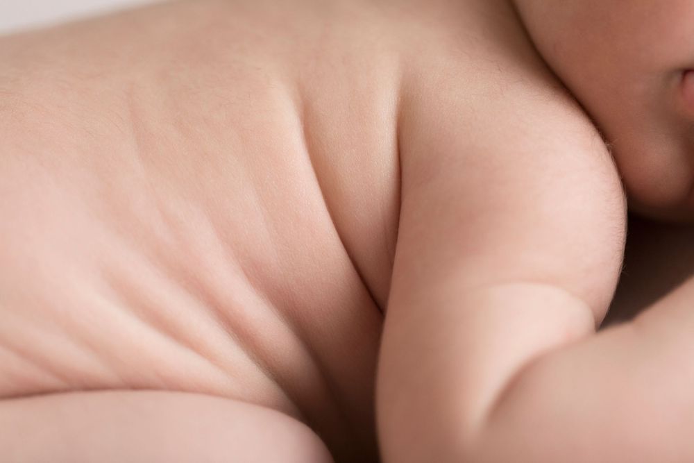 newborn photography, denver photographer
