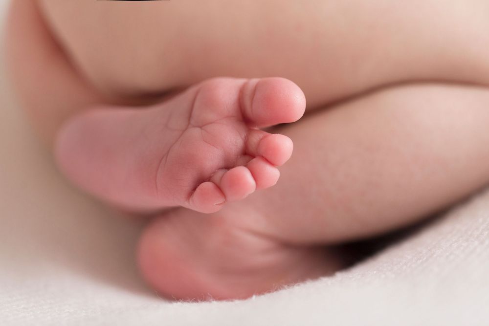 newborn photography, denver photographer