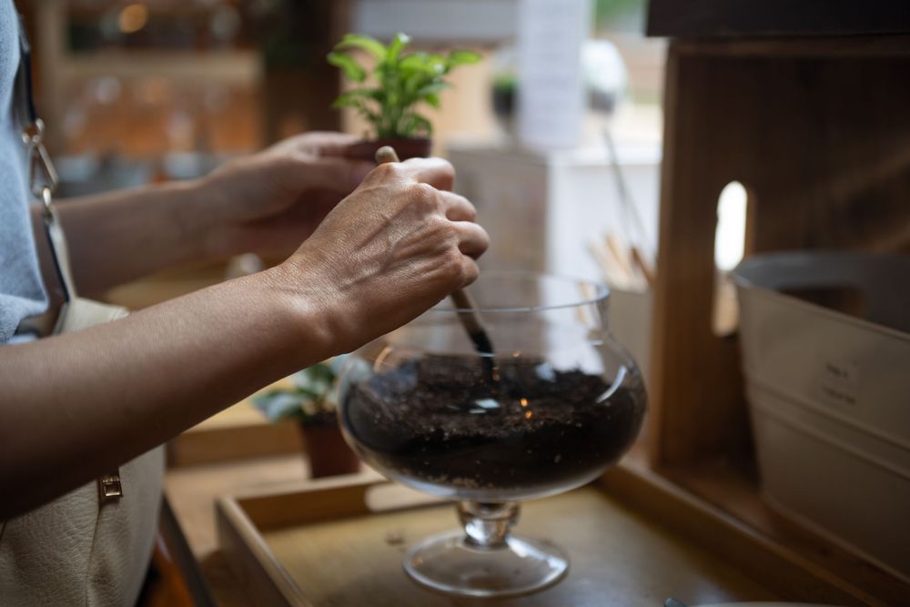 Hands holding a young potted plant next to a large glass of red wine on a wooden countertop in natural light.