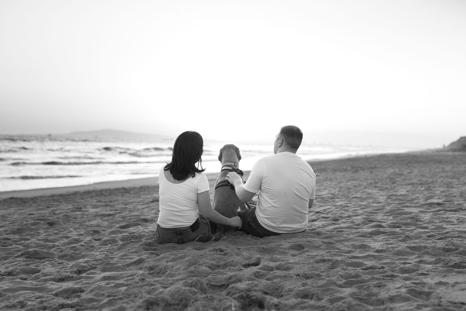 Pet photography by The Iconic Photograph. Huntington Beach