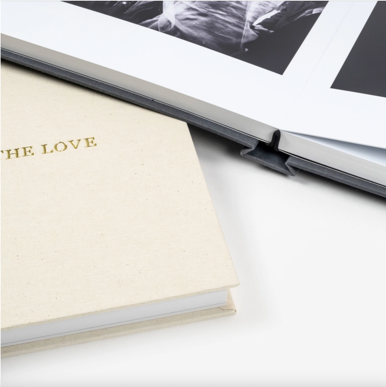 Close up of a cream colored book with gold text reading 'THE LOVE' next to an open photo album or portfolio.