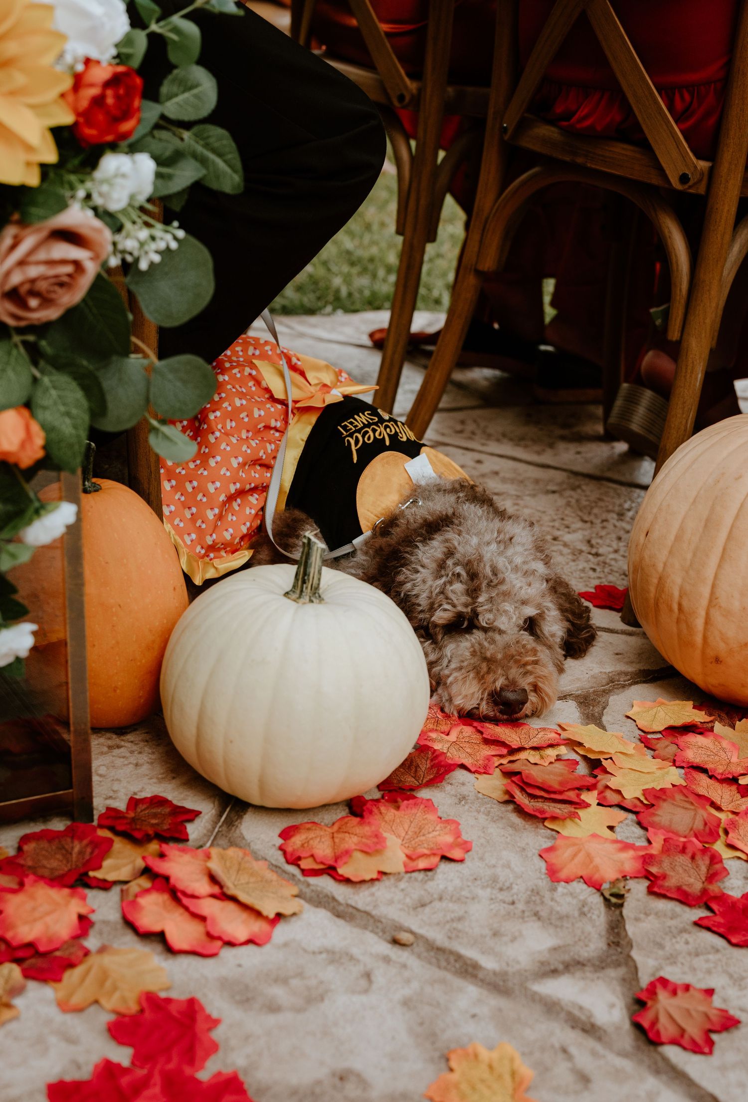White pumpkin and floral arrangements with scattered red autumn leaves on stone floor.