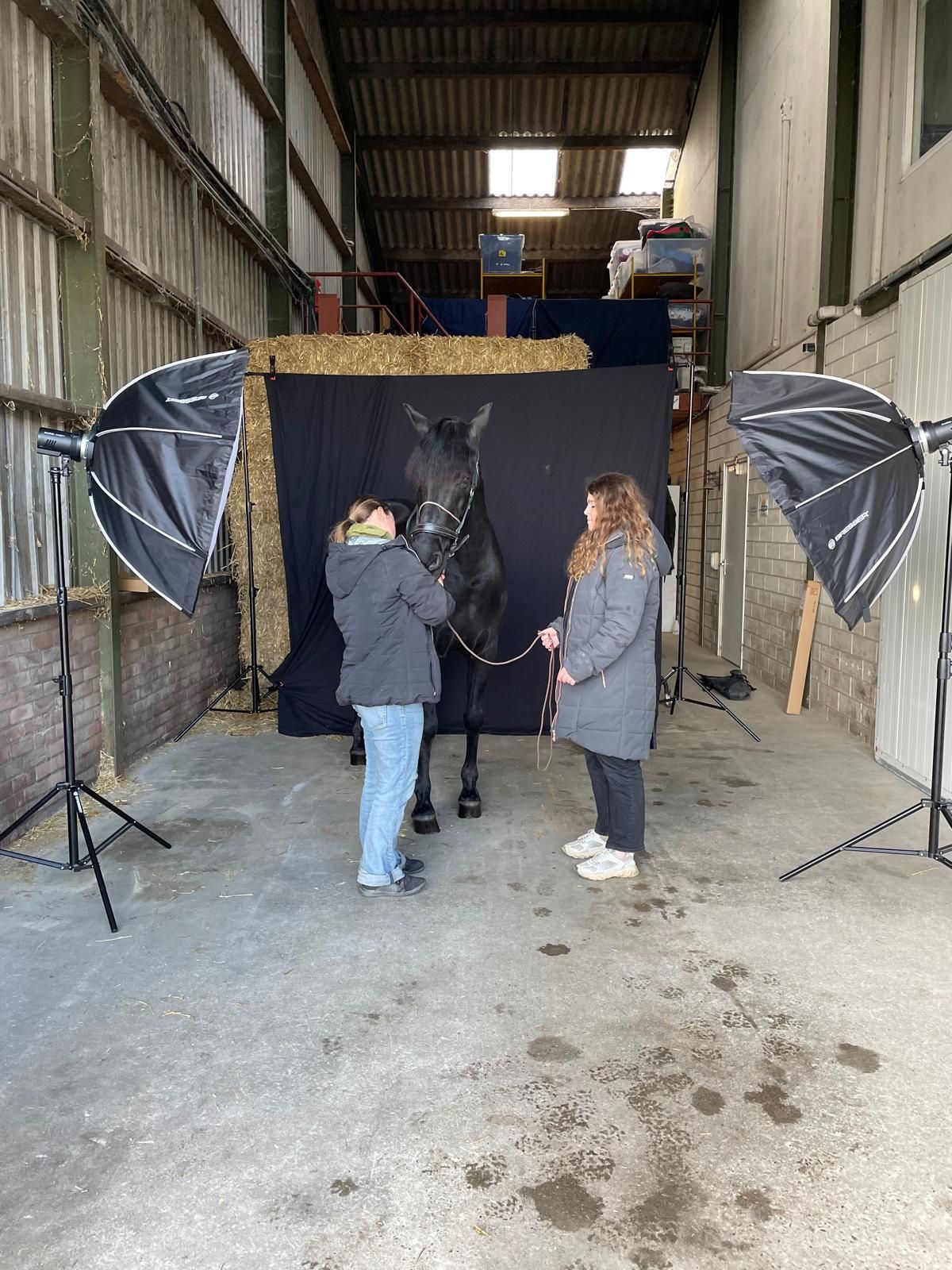 Professionele paardenfotograaf uit Nederland levert tijdloze Fine Art portretten