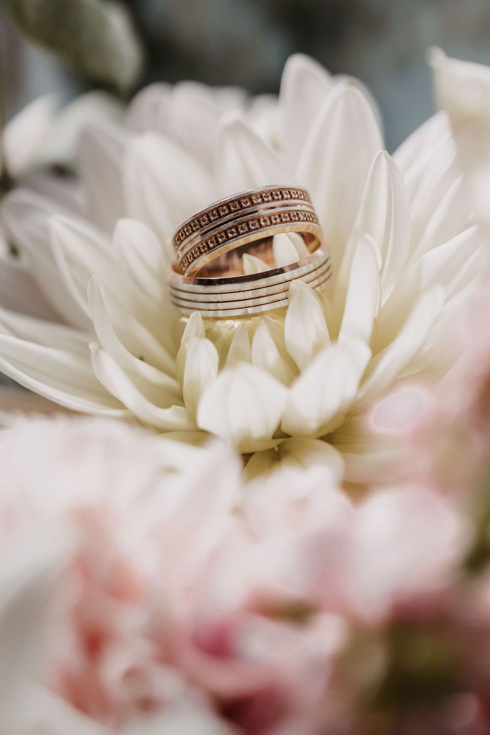 Gold wedding bands nestled in the petals of a white dahlia flower.