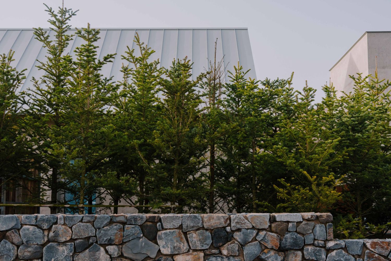 chwihoga house korea, photographed by ann seojin