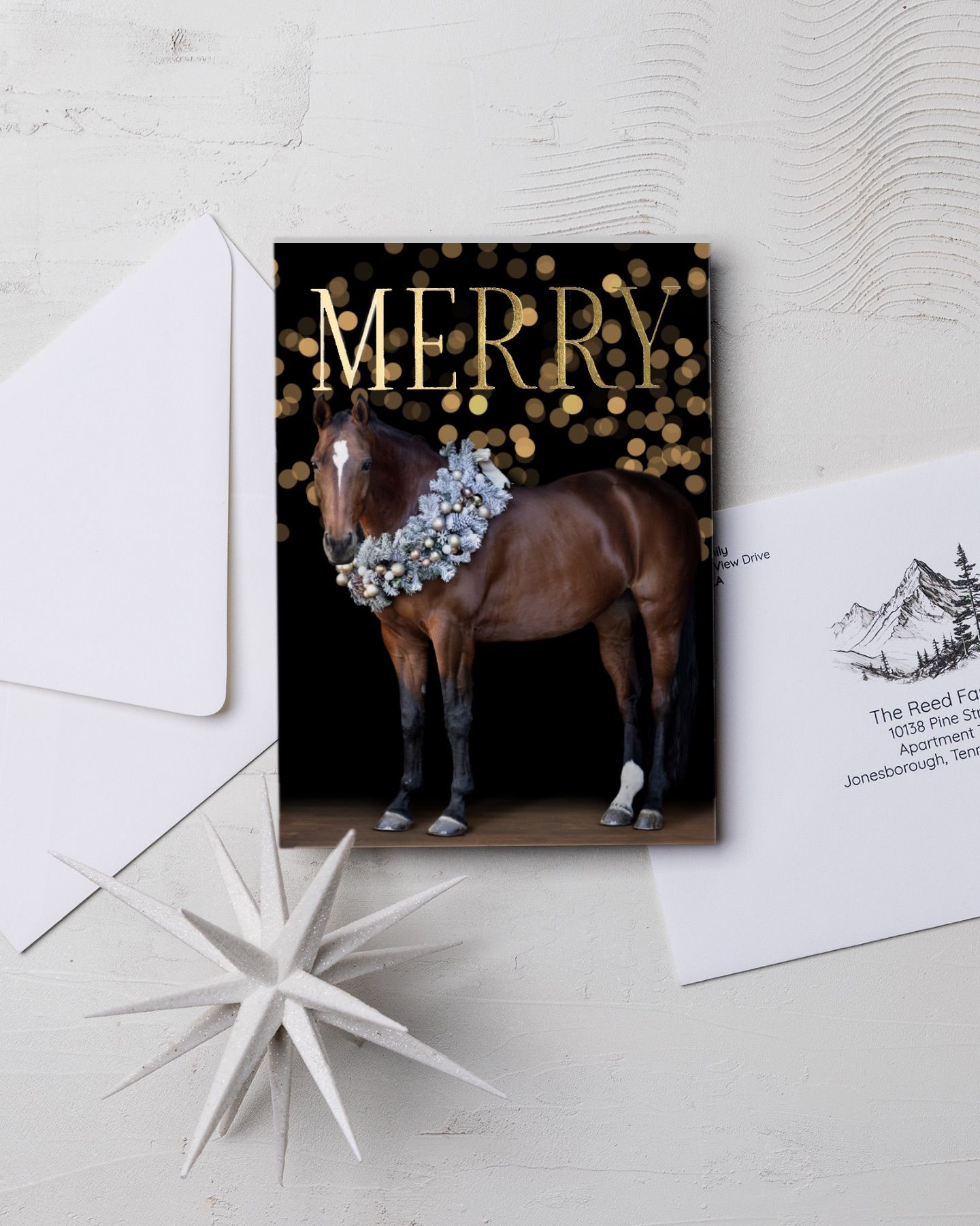 Holiday card featuring equine portrait including holiday elements Copyright Amanda Barr Photography
