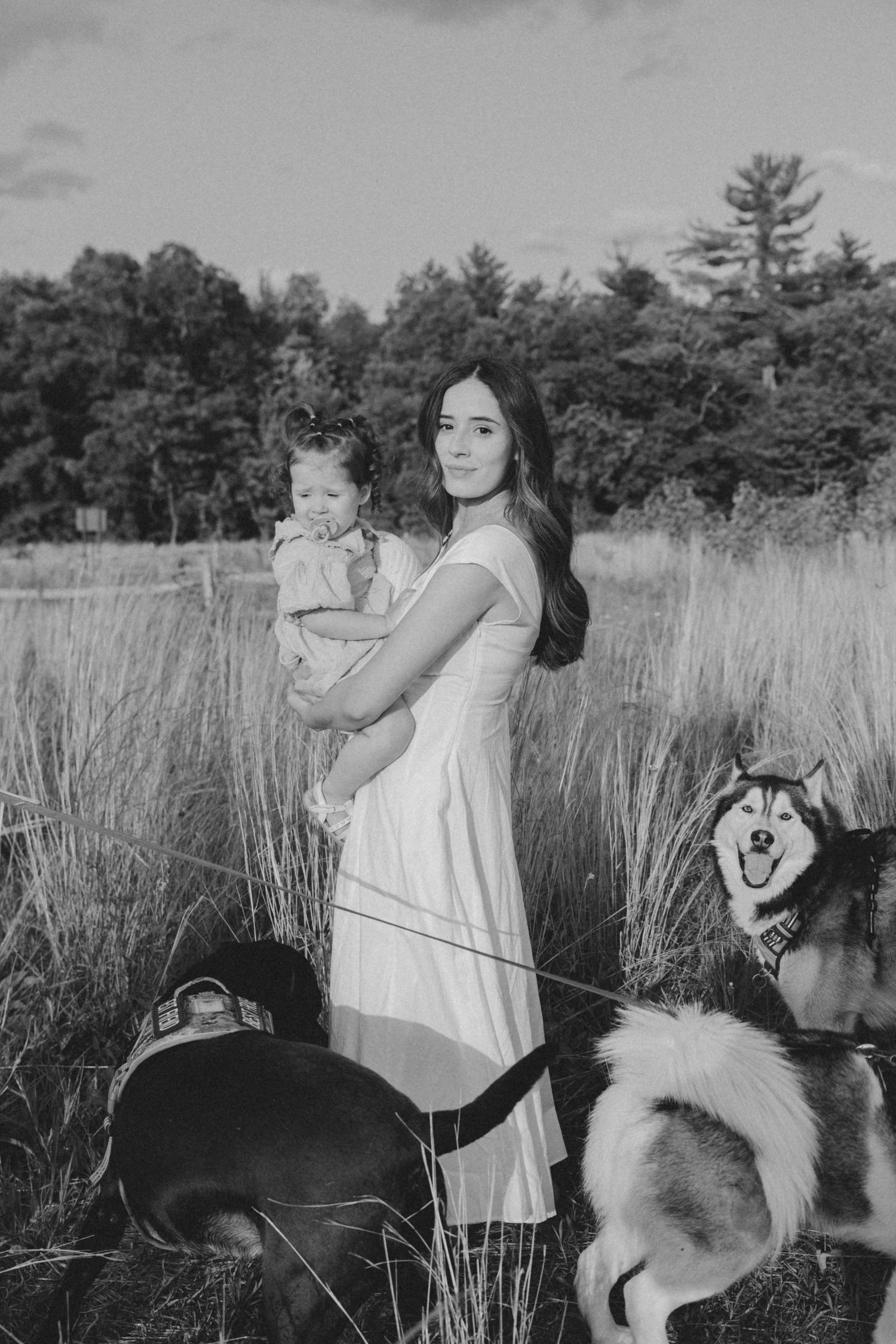Black and white photo series of playful moments in a field with a dog.
