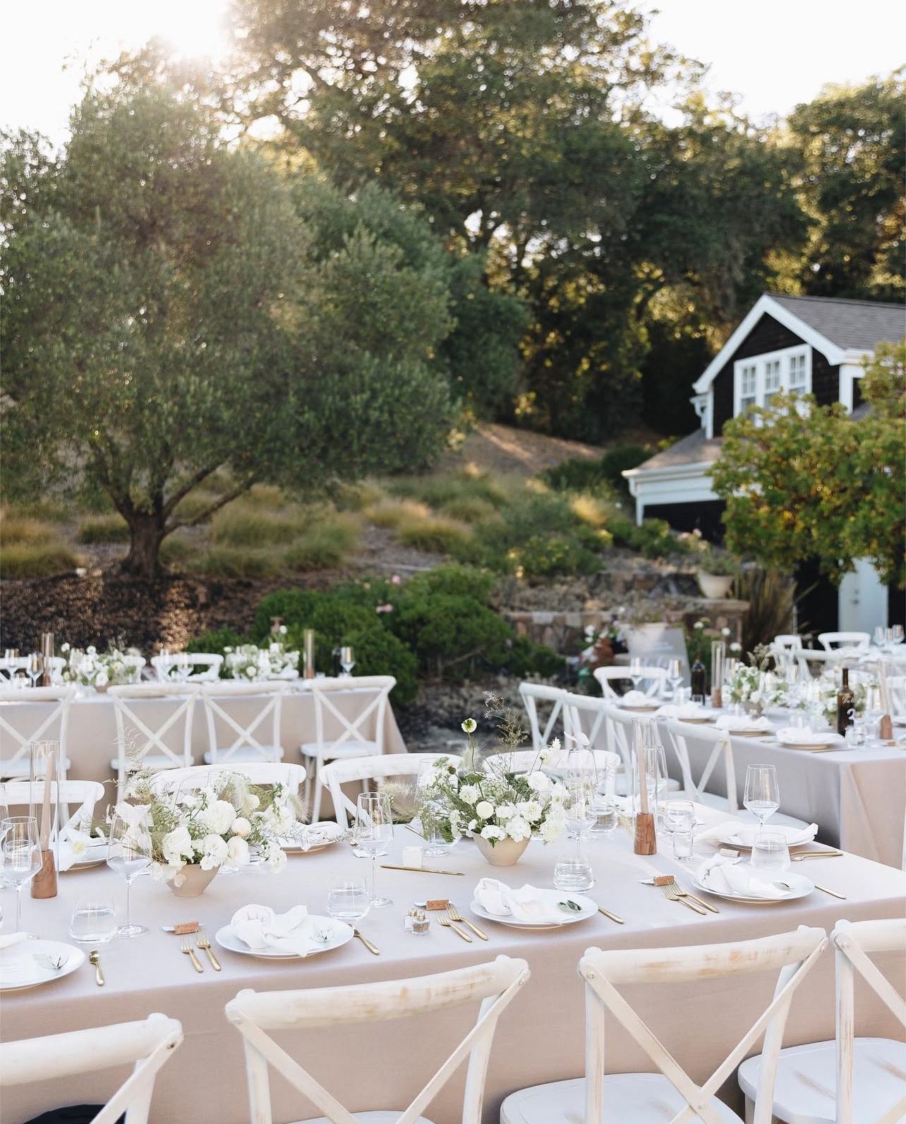 Elegant outdoor wedding reception setup with white tables and chairs under oak trees.