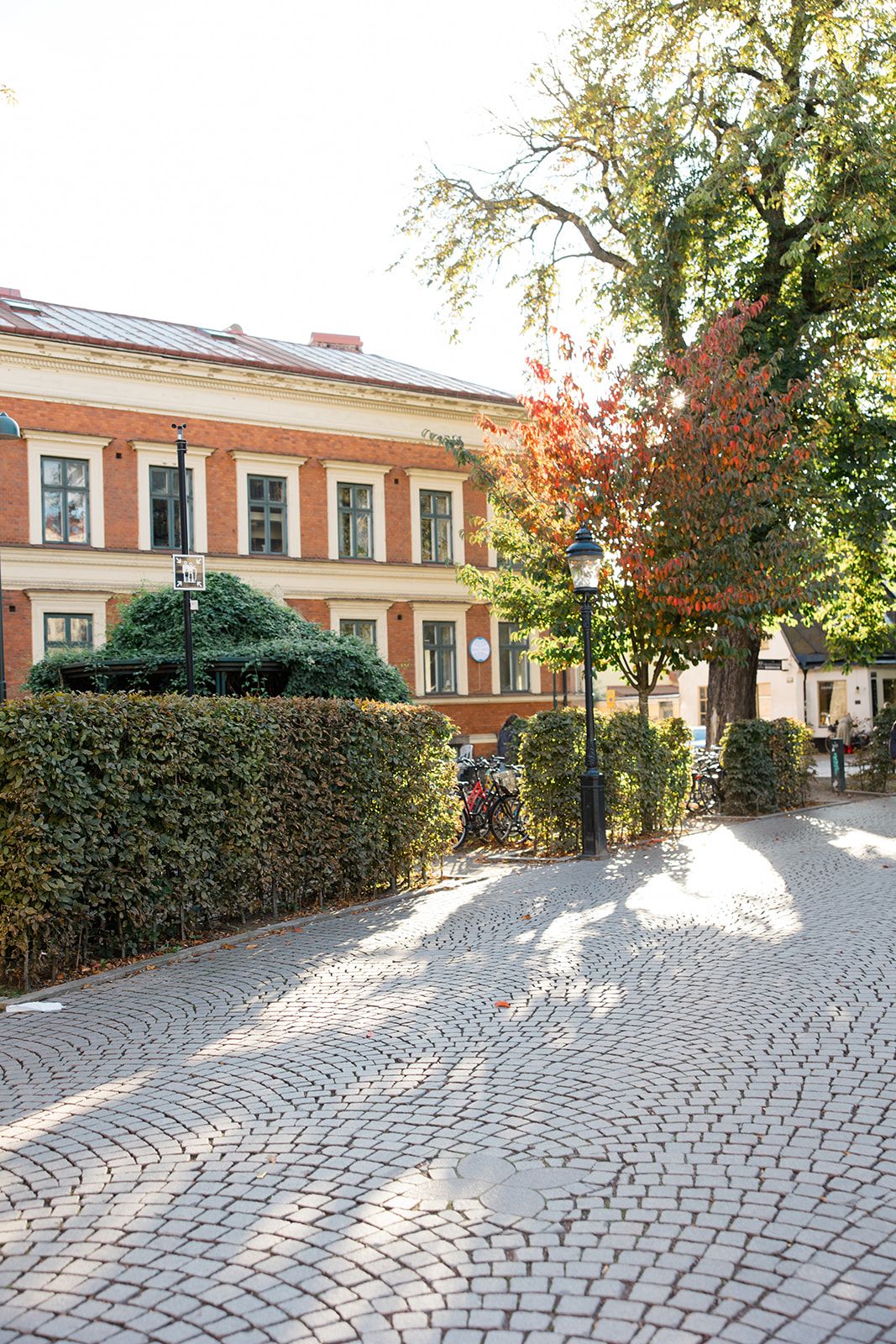 Panoramic view of a cobblestone courtyard with traditional European buildings and green hedges in autumn sunlight.