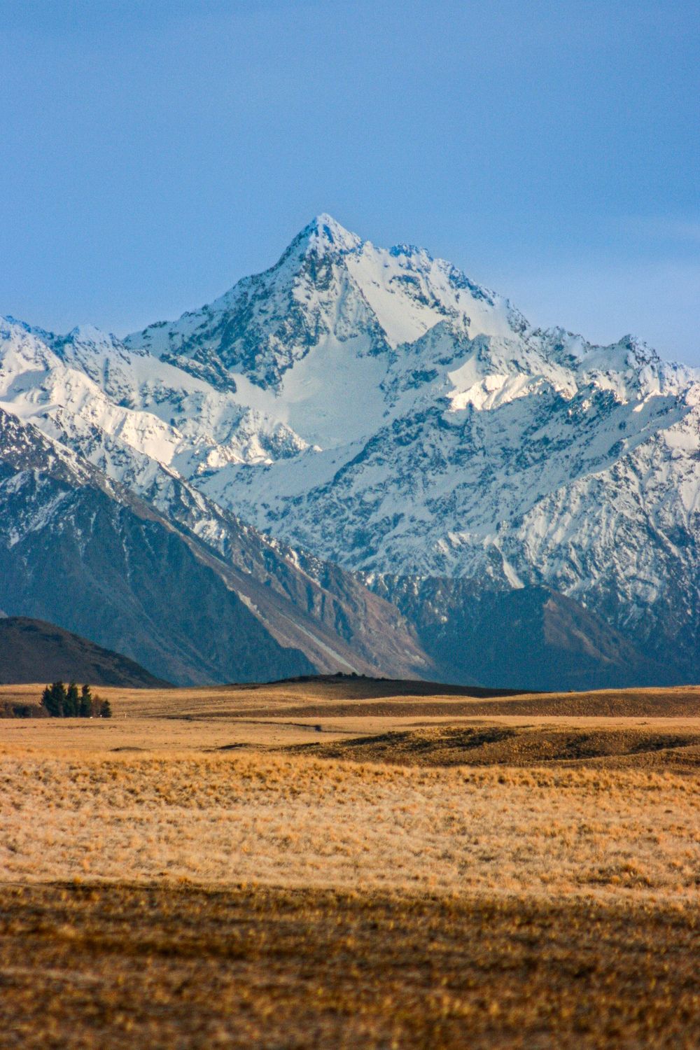 mt-d'archiac-ashburton-gorge-canterbury-snow-mountains-whisky-creek.jpg