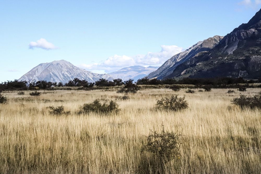 wilberforce-river-rakaia-gorge-canterbury-new-zealand-landscape-whisky-creek.jpg
