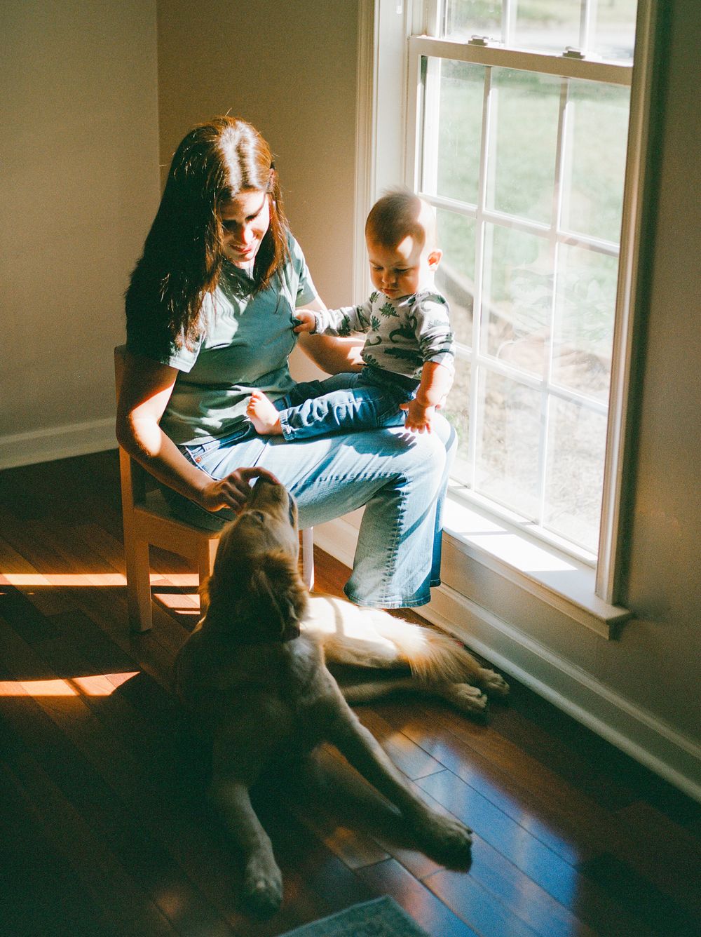 A series of four warm-toned photos showing a person and cat sitting by a sunlit window on a hardwood floor.