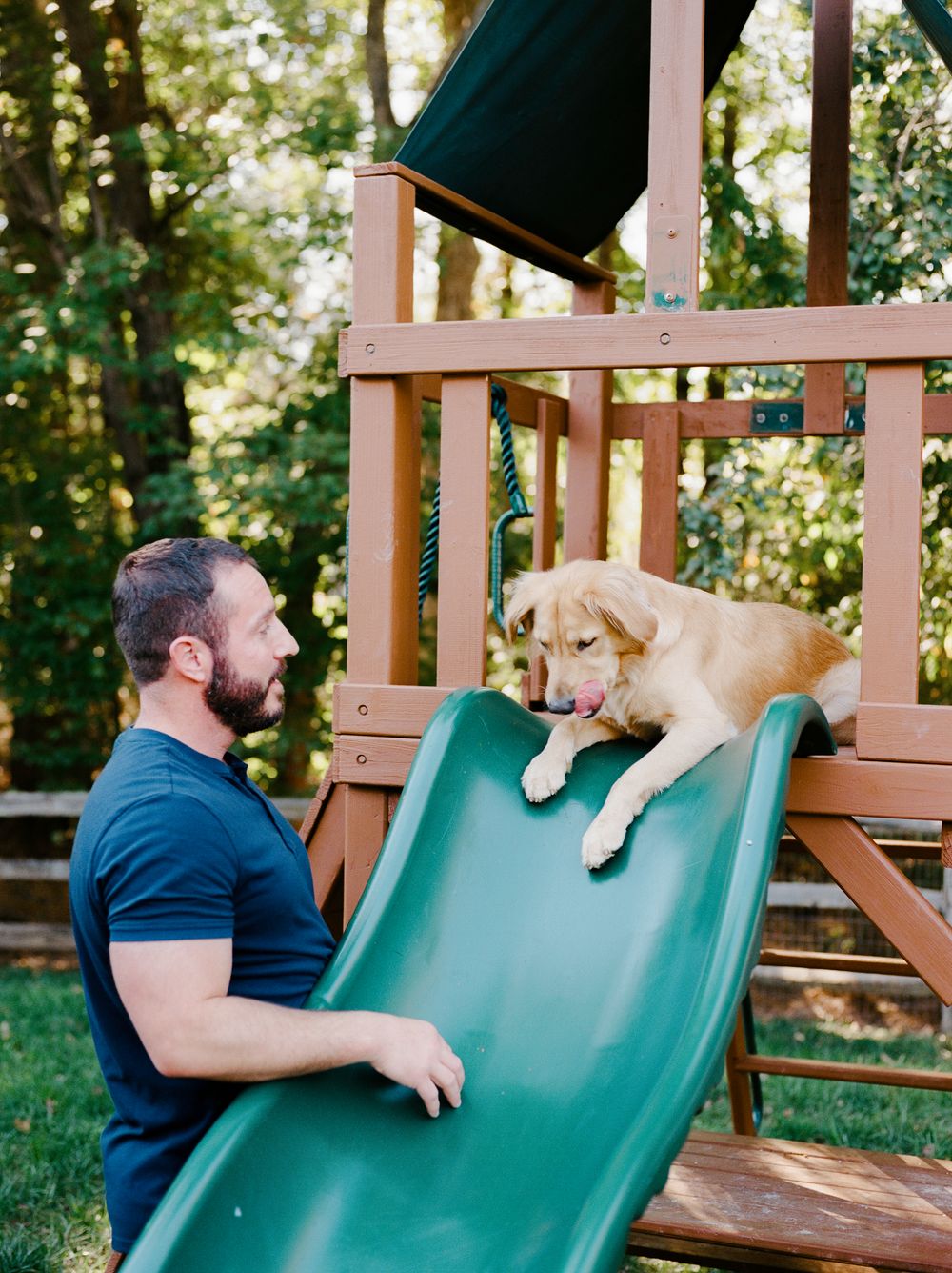 Four sequential photos of someone relaxing on a turquoise slide with a dog in a backyard setting.