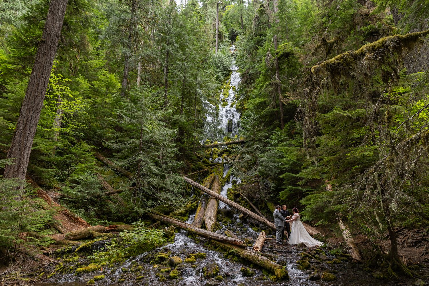 Couple Sharing their vows during their elopement at Proxy Falls in the Willamette National Forest, PNW Elopement Photographer.
