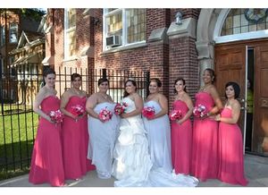 2014 The Bride and Bridal party