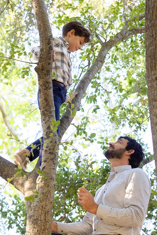 A child climbs a tree in the Bay Area while his dad stands below offering encouragement and support on a sunny day.