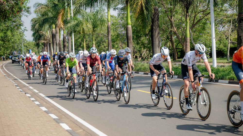 Cyclists riding in a group along a palm tree-lined road during a competitive cycling event.