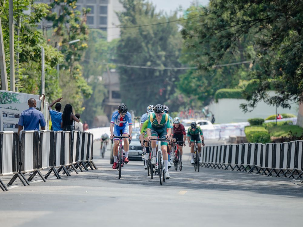 Cyclists compete in a road race along a tree-lined street with spectators watching from behind barriers.