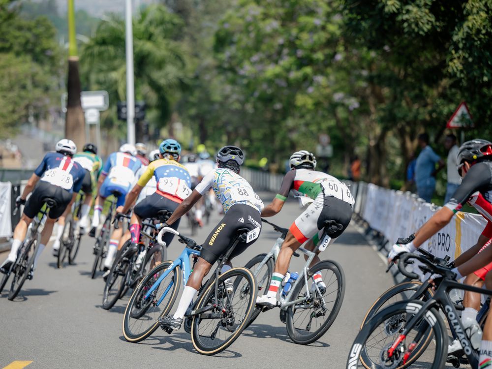 Professional cyclists racing in a peloton formation during a competitive road cycling event on a tree-lined street.