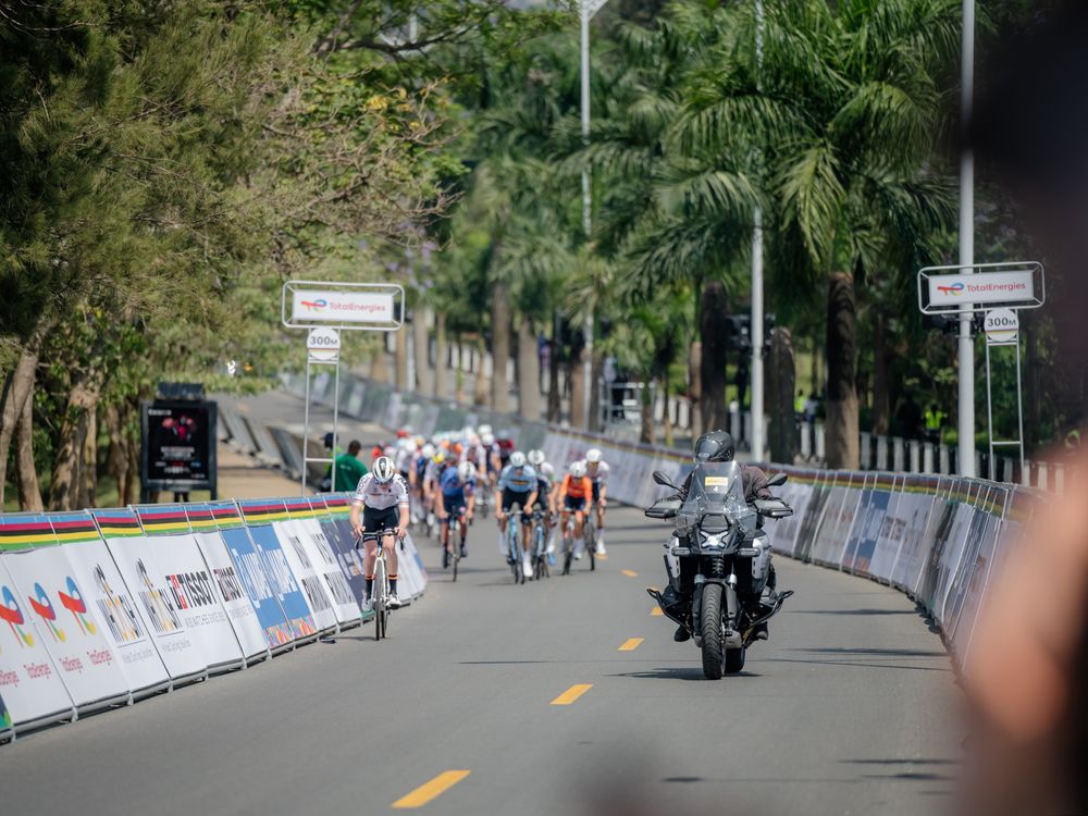 Cyclists racing on a tree-lined road during a professional cycling competition with spectators and barriers.