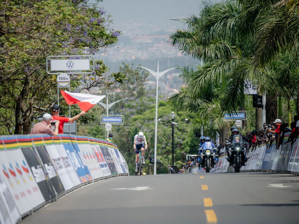 Cyclists racing along a palm tree-lined street during a professional cycling competition.