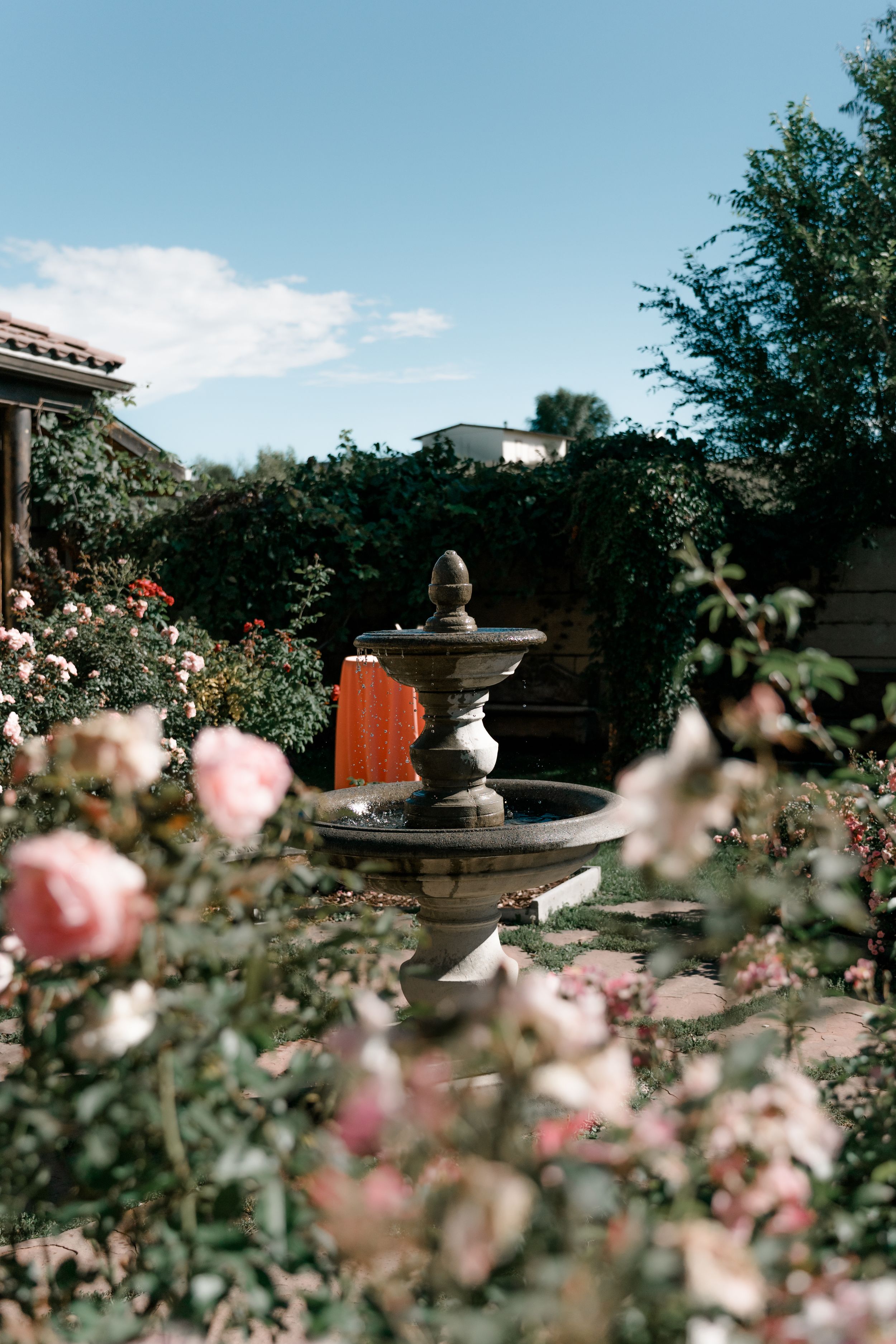 Pink roses bloom in a garden with stone urns and architectural elements under a bright blue sky.