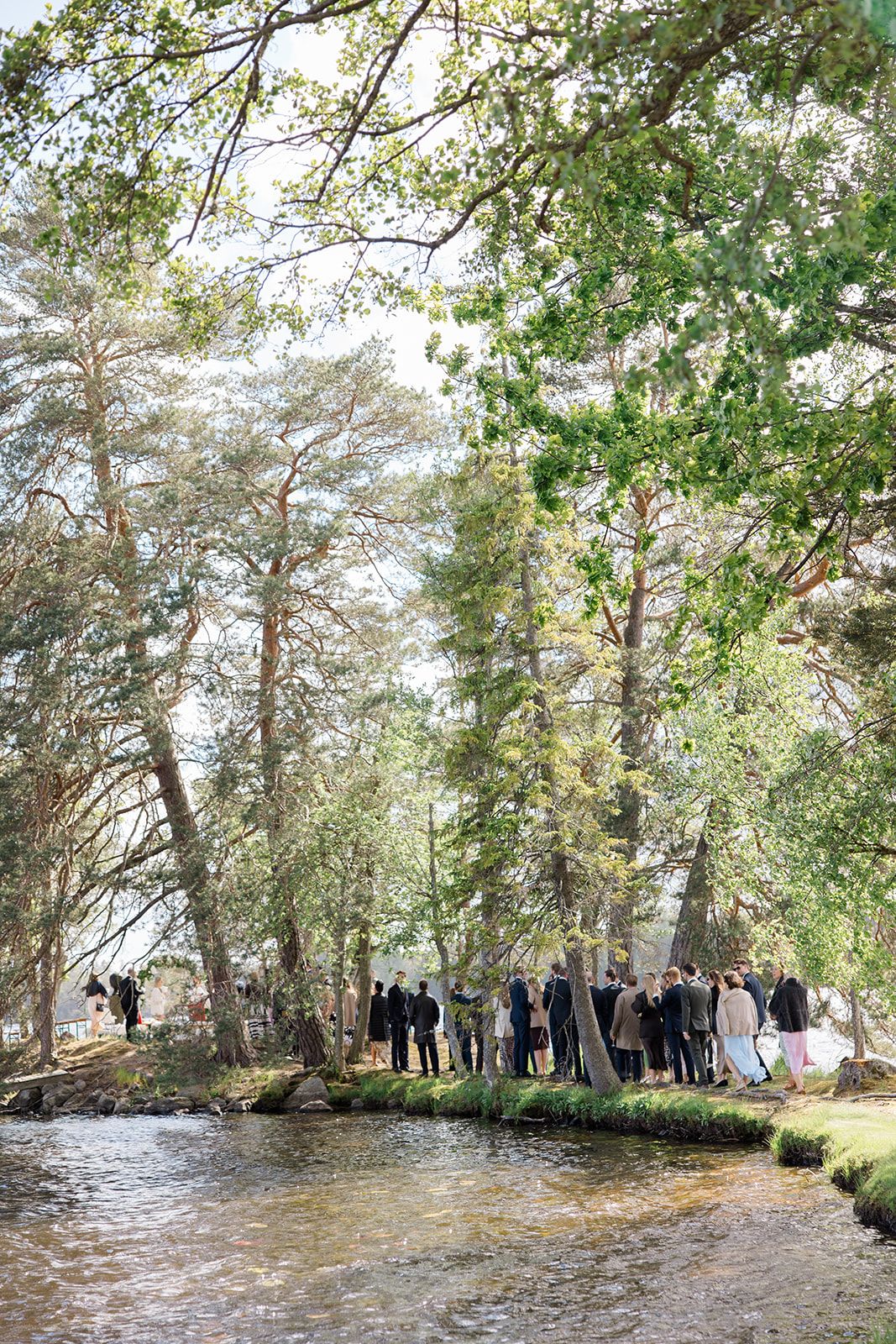 A group of people gather along a scenic riverbank surrounded by tall pine trees and lush greenery.