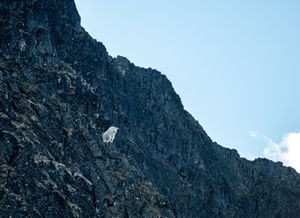 White mountain goat perched on a steep rocky cliff face against blue sky.