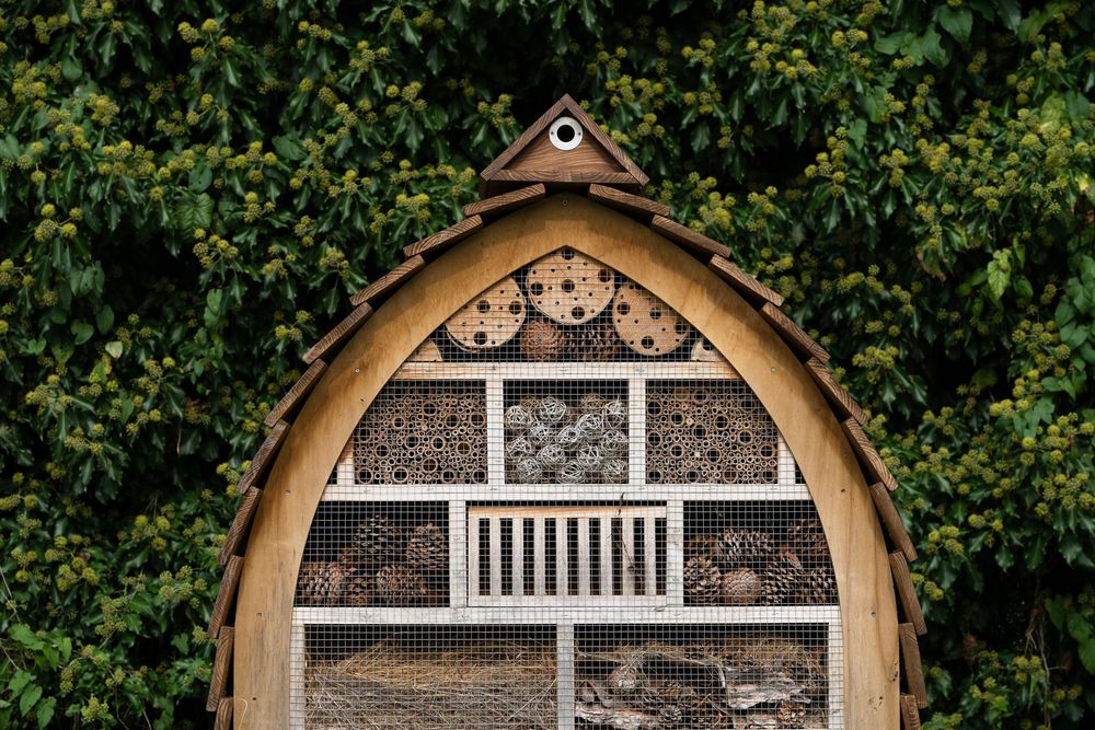 A set of six decorative wooden bee houses with various entrance designs mounted on a wall against green foliage.