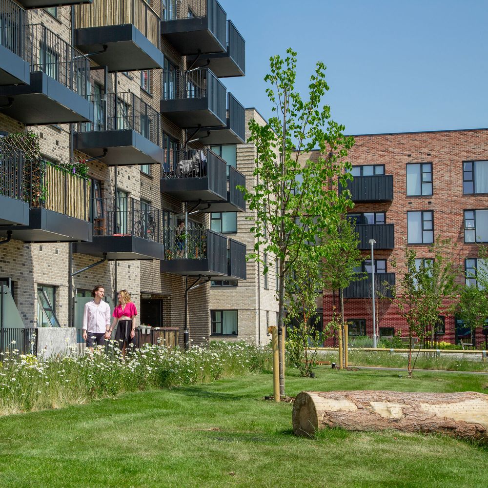 Modern residential apartment complex featuring balconies and green landscaping with young trees on a sunny day.