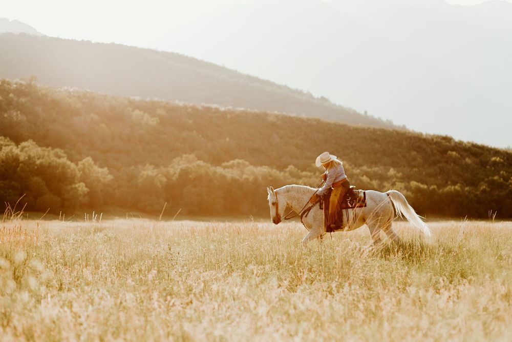 equine photographer